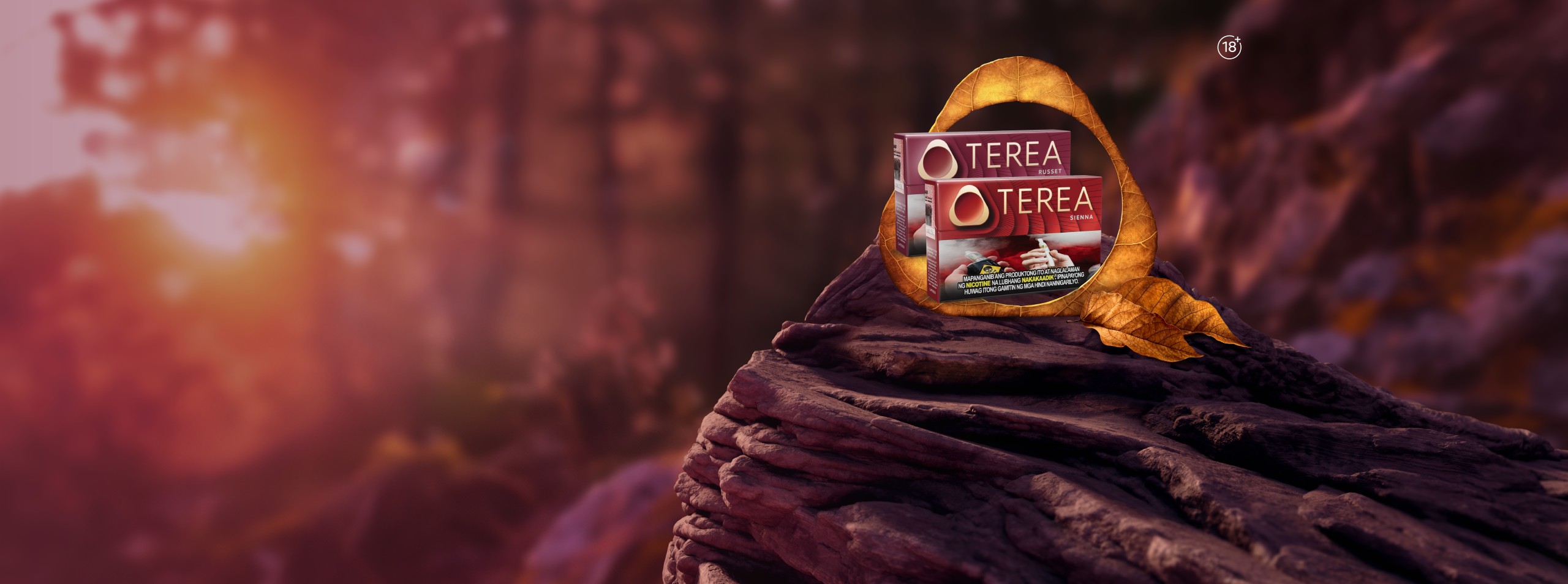TEREA tobacco stick packs and an IQOS device showcased against a scenic sunrise landscape, framed by a dried leaf for a premium, nature‑inspired product presentation.